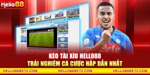 Kèo tài xỉu Hello88 - Trải nghiệm cá cược hấp dẫn nhất