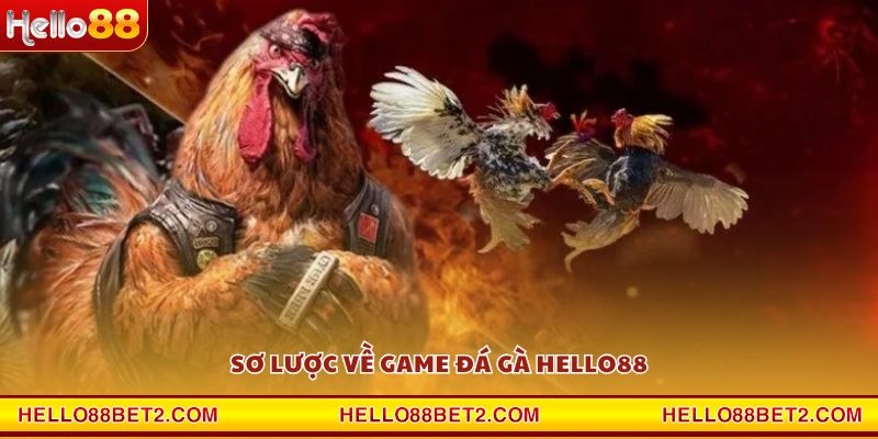 Sơ lược về game đá gà Hello88